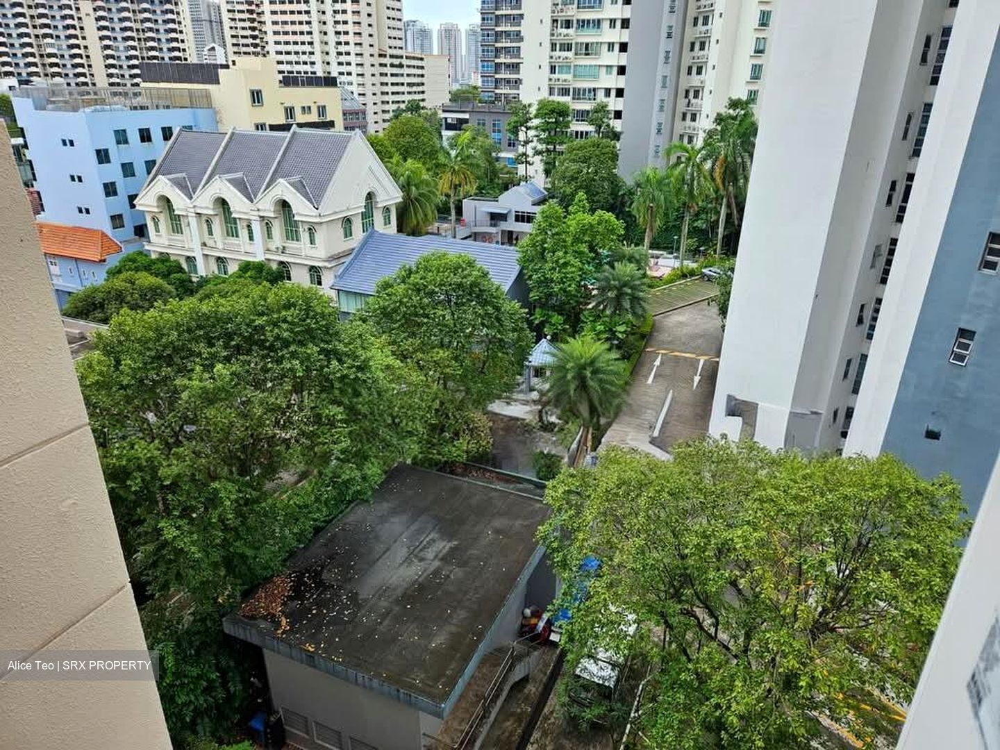 Balestier Point (D12), Apartment #561961381